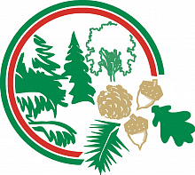 Минлесхоз РТ, Министерство лесного хозяйства Республики Татарстан